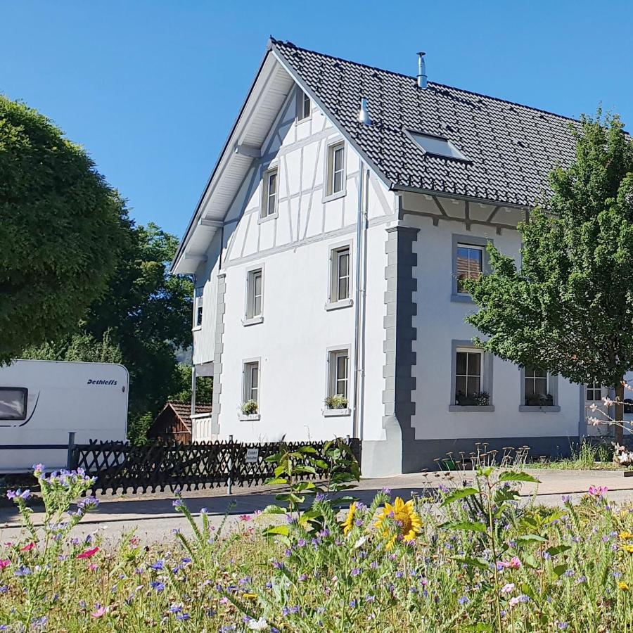 Apartment Suedwind - Beautiful Premium Apartment With 2 Bedrooms Near Rhine Falls & Zurich Airport In Klettgau Weisweil  Exteriér fotografie