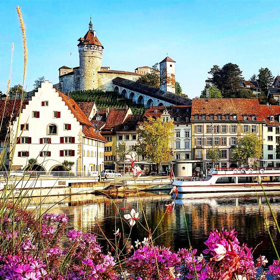 Apartment Suedwind - Beautiful Premium Apartment With 2 Bedrooms Near Rhine Falls & Zurich Airport In Klettgau Weisweil  Exteriér fotografie